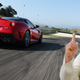 Illustration for article titled Petition To Import Ferrari 599 GTOs Shows Absurdity Of US Import Laws